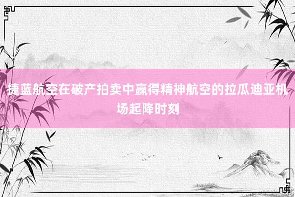 捷蓝航空在破产拍卖中赢得精神航空的拉瓜迪亚机场起降时刻