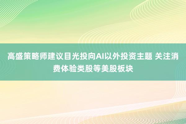 高盛策略师建议目光投向AI以外投资主题 关注消费体验类股等美股板块