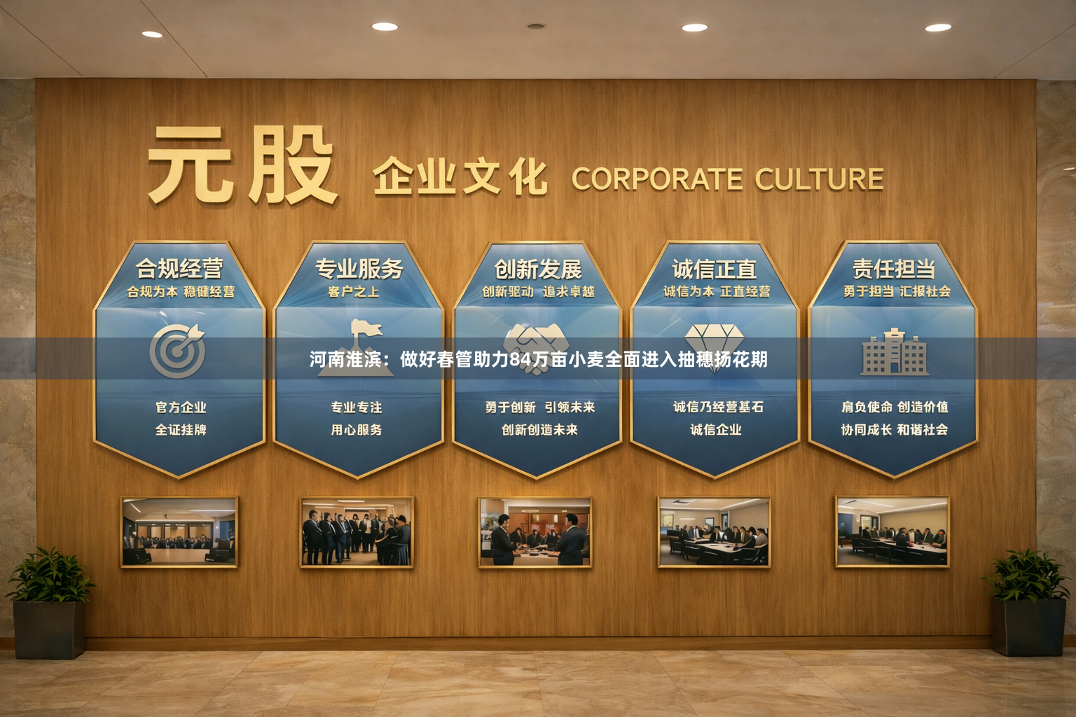 河南淮滨：做好春管助力84万亩小麦全面进入抽穗扬花期