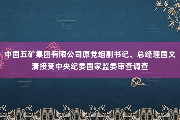 中国五矿集团有限公司原党组副书记、总经理国文清接受中央纪委国家监委审查调查