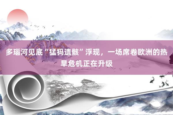多瑙河见底“猛犸遗骸”浮现,一场席卷欧洲的热旱危机正在升级