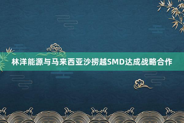 林洋能源与马来西亚沙捞越SMD达成战略合作