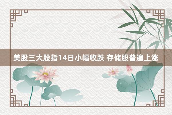 美股三大股指14日小幅收跌 存储股普遍上涨
