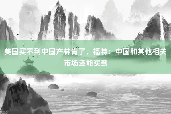 美国买不到中国产林肯了,福特:中国和其他相关市场还能买到