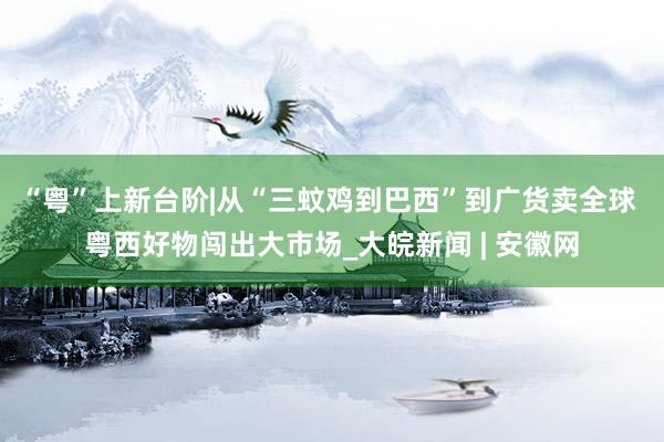 “粤”上新台阶|从“三蚊鸡到巴西”到广货卖全球 粤西好物闯出大市场_大皖新闻 | 安徽网