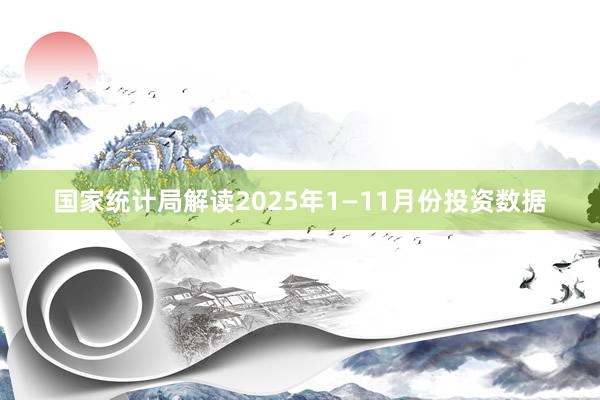 国家统计局解读2025年1—11月份投资数据