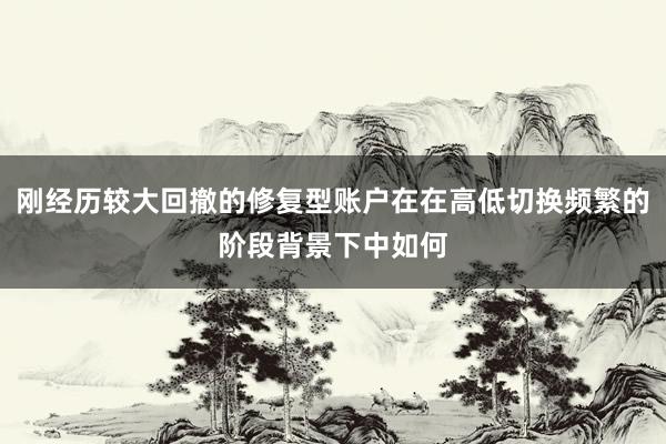 刚经历较大回撤的修复型账户在在高低切换频繁的阶段背景下中如何