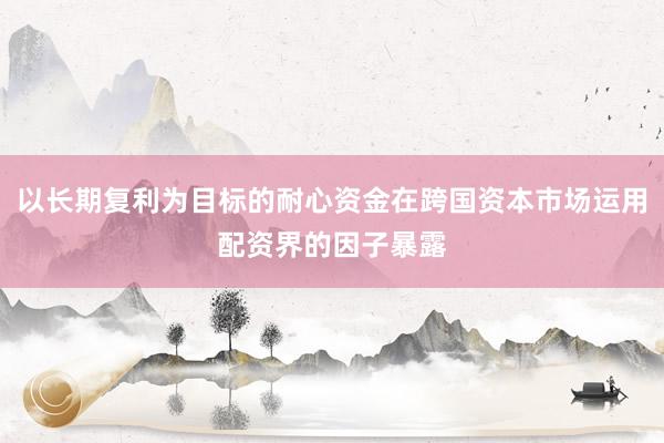 以长期复利为目标的耐心资金在跨国资本市场运用配资界的因子暴露