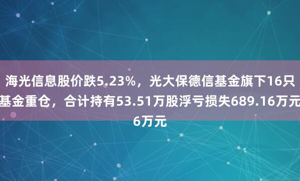 海光信息股价跌5.23%，光大保德信基金旗下16只基金重仓，合计持有53.51万股浮亏损失689.16万元