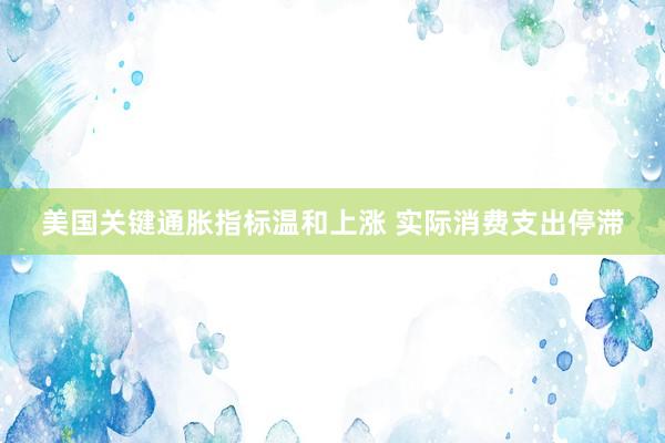美国关键通胀指标温和上涨 实际消费支出停滞