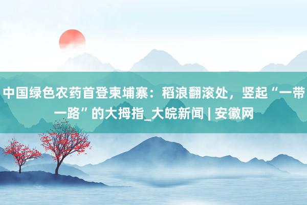 中国绿色农药首登柬埔寨：稻浪翻滚处，竖起“一带一路”的大拇指_大皖新闻 | 安徽网