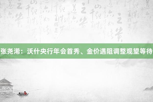 张尧浠：沃什央行年会首秀、金价遇阻调整观望等待
