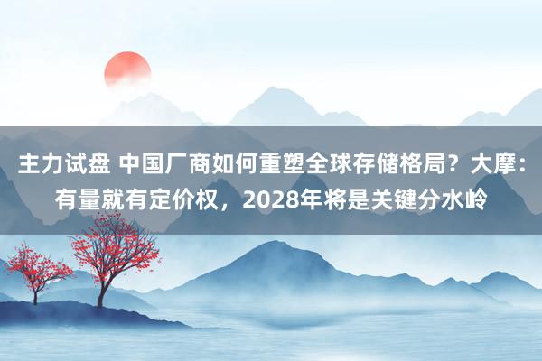主力试盘 中国厂商如何重塑全球存储格局？大摩：有量就有定价权，2028年将是关键分水岭