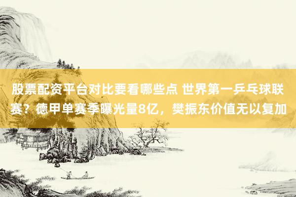 股票配资平台对比要看哪些点 世界第一乒乓球联赛？德甲单赛季曝光量8亿，樊振东价值无以复加