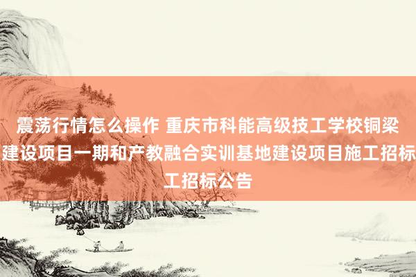 震荡行情怎么操作 重庆市科能高级技工学校铜梁校区建设项目一期和产教融合实训基地建设项目施工招标公告