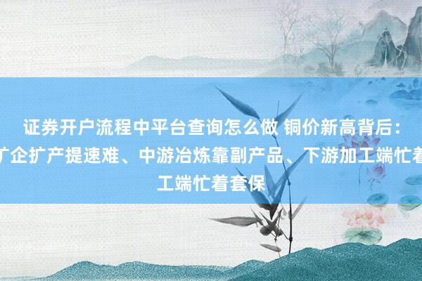 证券开户流程中平台查询怎么做 铜价新高背后：上游矿企扩产提速难、中游冶炼靠副产品、下游加工端忙着套保