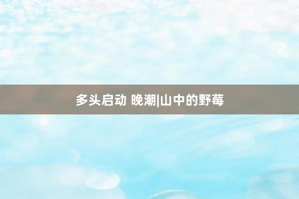 多头启动 晚潮|山中的野莓