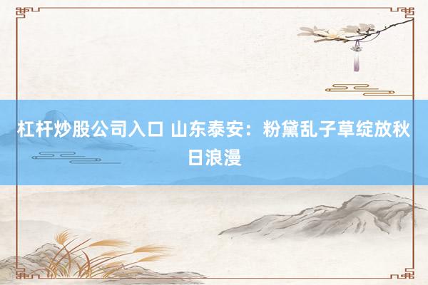 杠杆炒股公司入口 山东泰安：粉黛乱子草绽放秋日浪漫